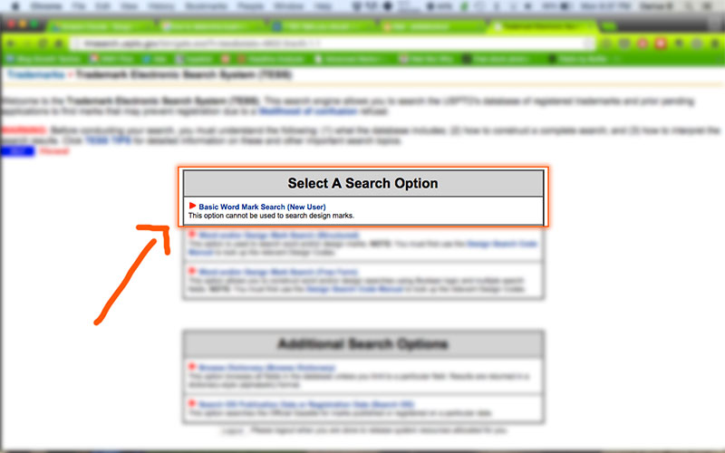 Step 3: Select the Basic Word Mark Search option