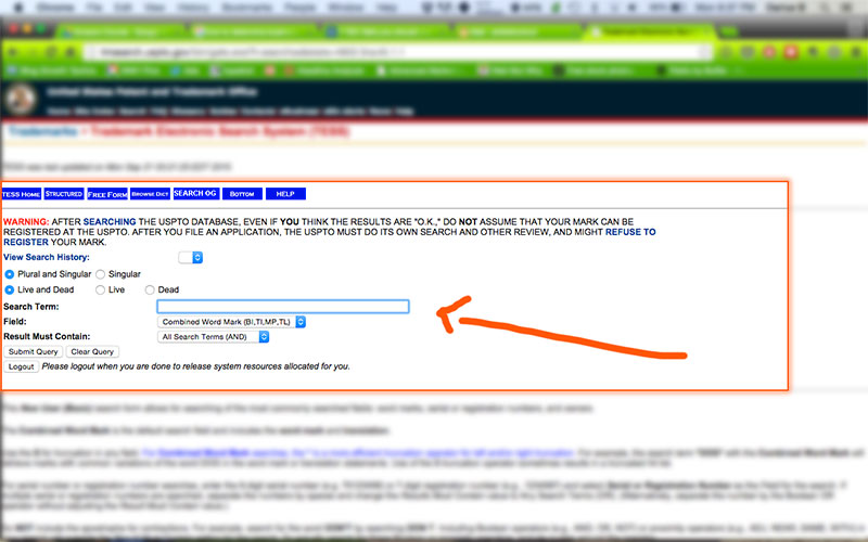 Step 4: Enter your rap name and press the "Submit Query" button